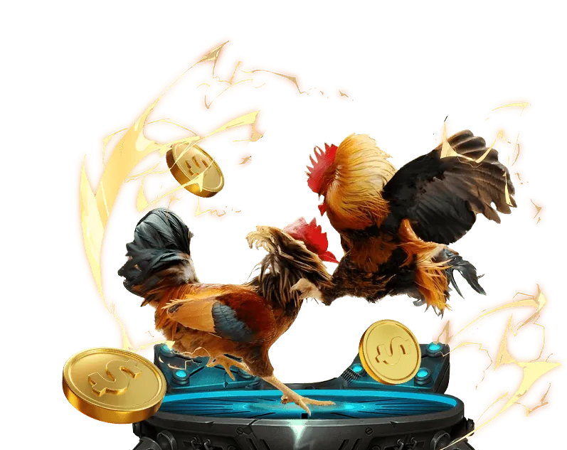 Lịch sử phát triển Biendo88